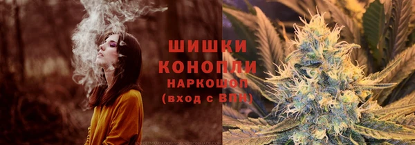 винт Бикин