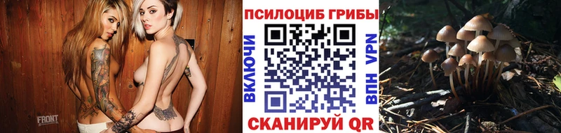 Псилоцибиновые грибы мицелий  продажа наркотиков  кракен маркетплейс  Котовск 