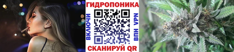 блэк спрут как зайти  Котовск  Марихуана семена  магазин   