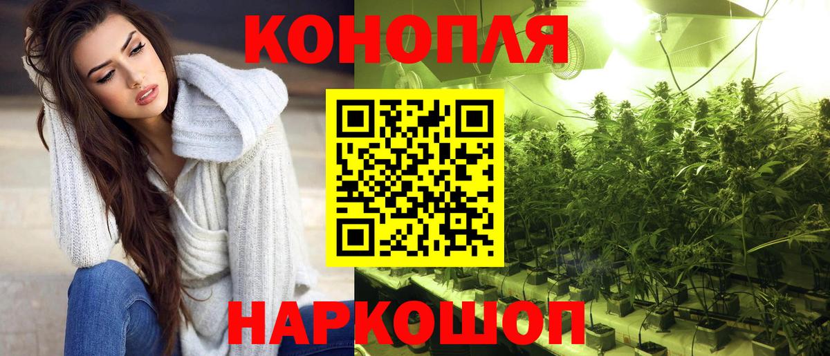 Бошки марихуана SATIVA & INDICA  Вход с VPN  Бошки марихуана OG Kush  Котовск 